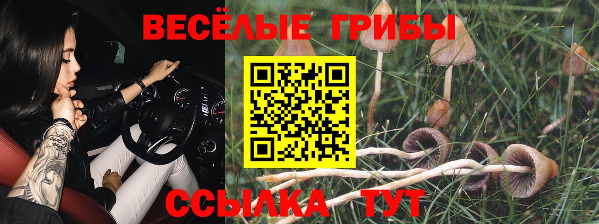 Псилоцибиновые грибы прущие грибы Бердск
