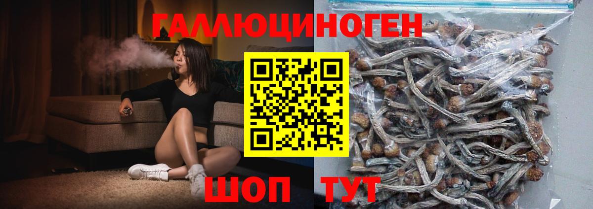 Бердск  Псилоцибиновые грибы мухоморы  Вход с VPN  Псилоцибиновые грибы ЛСД 