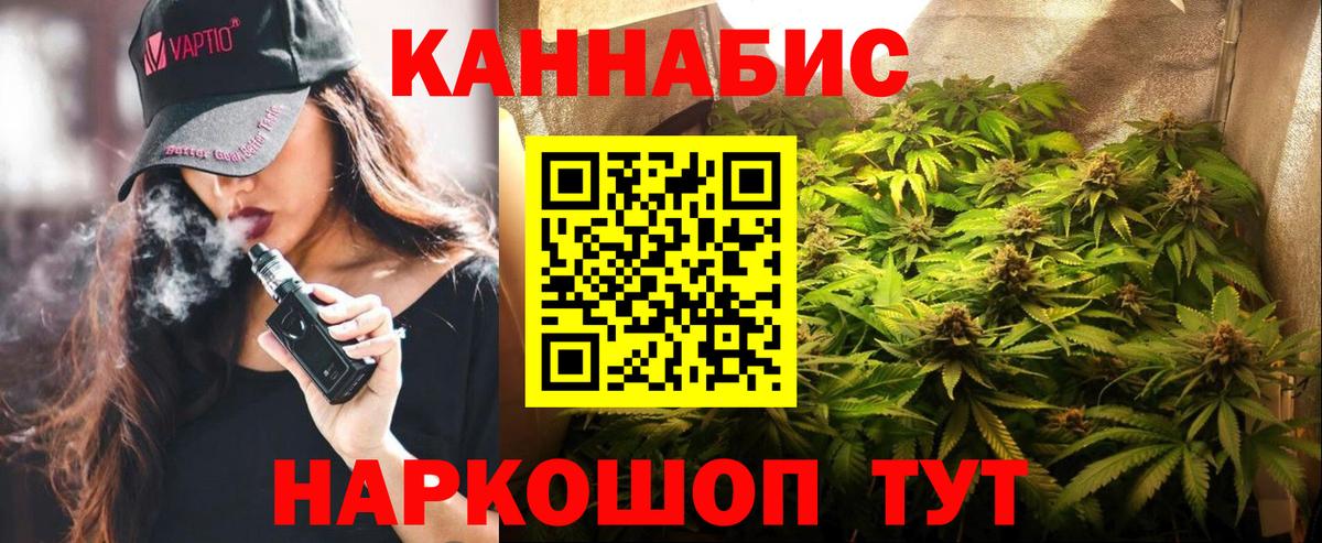 Каннабис индика Бердск